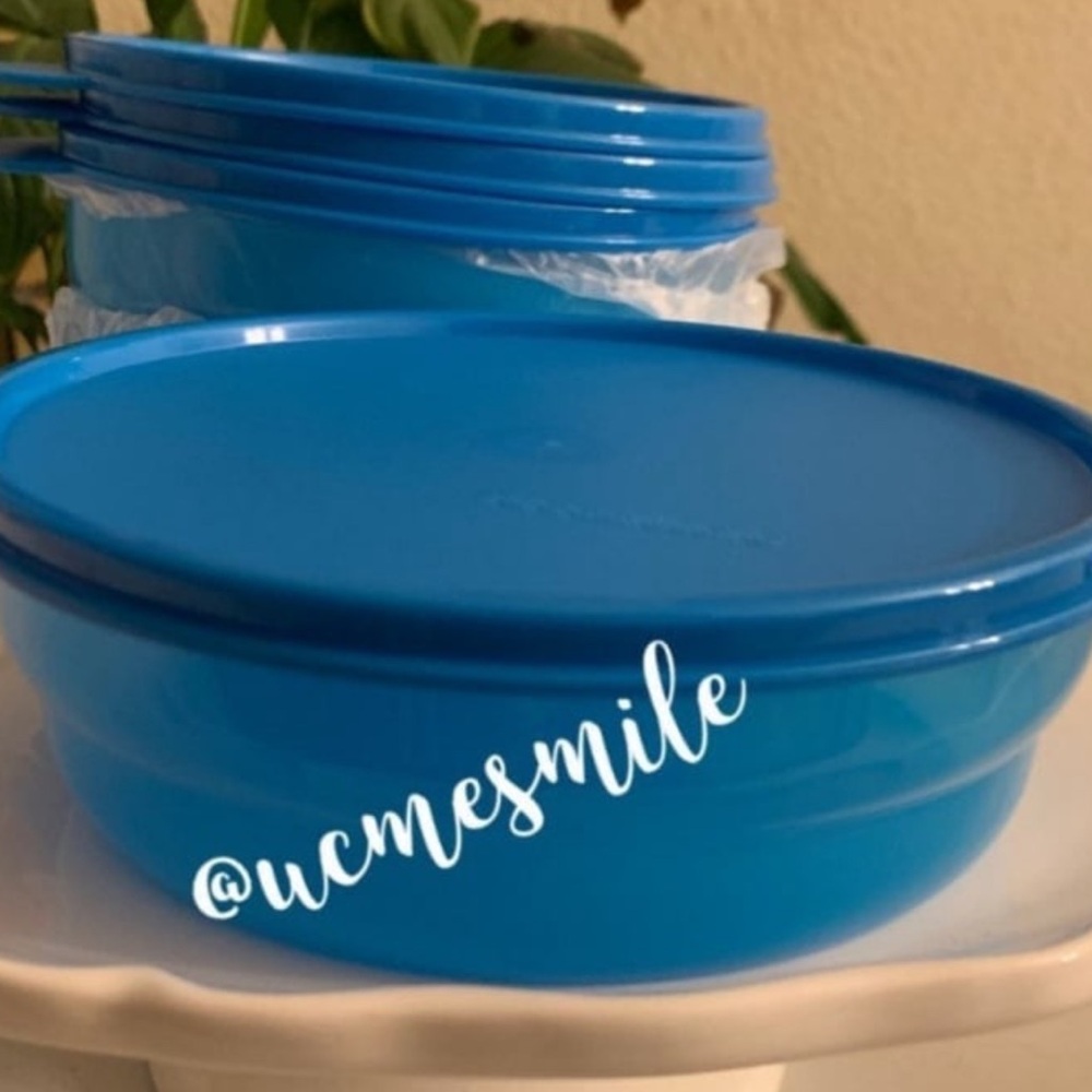 Tupperware Big Blue Wonders Large 4-Bowl Set